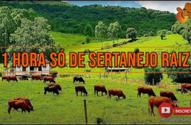 1 Hora Só Sertanejo Raiz músicas Inesquecíveis – Canal Mundo Sertanejo 2021