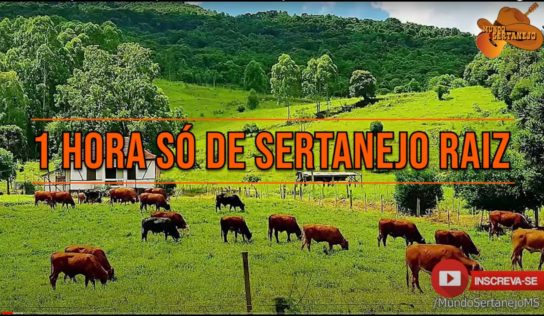 1 Hora Só Sertanejo Raiz músicas Inesquecíveis – Canal Mundo Sertanejo 2021
